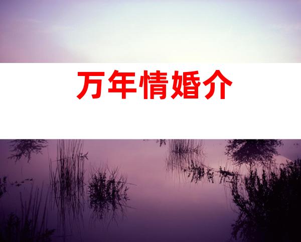 万年情婚介