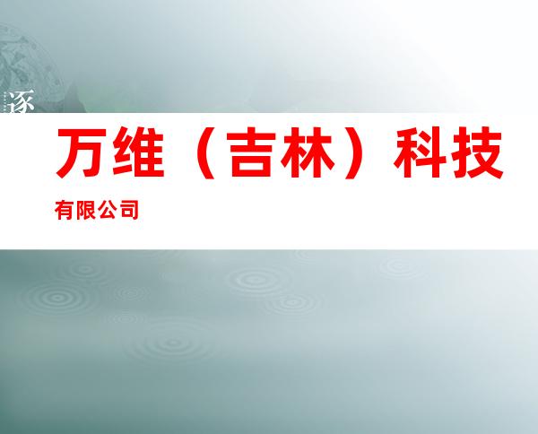 万维（吉林）科技有限公司