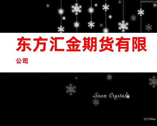 东方汇金期货有限公司