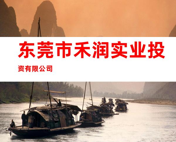 东莞市禾润实业投资有限公司