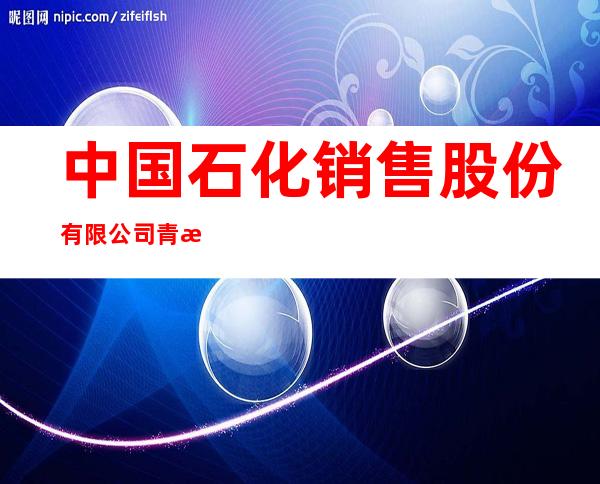 中国石化销售股份有限公司青海格尔木石油分公司柴达木西路加油站