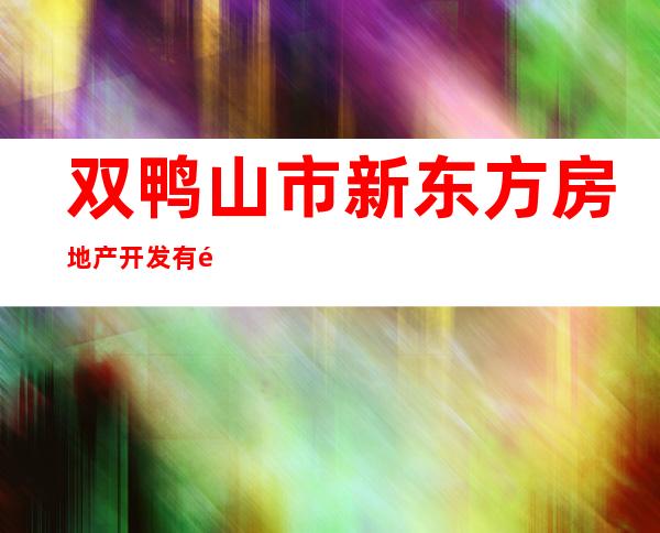 双鸭山市新东方房地产开发有限公司