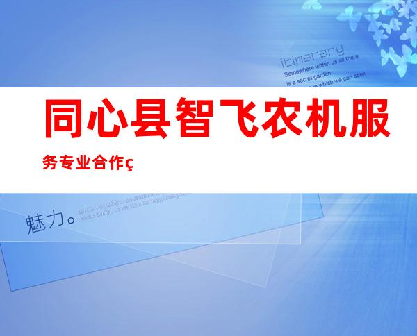 同心县智飞农机服务专业合作社