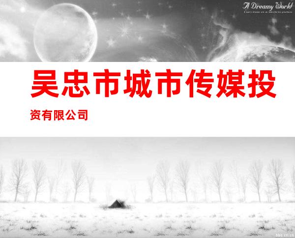 吴忠市城市传媒投资有限公司