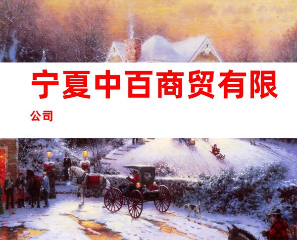 宁夏中百商贸有限公司