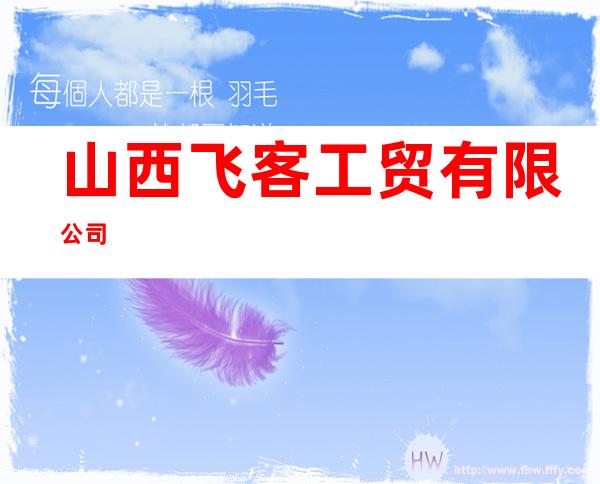 山西飞客工贸有限公司
