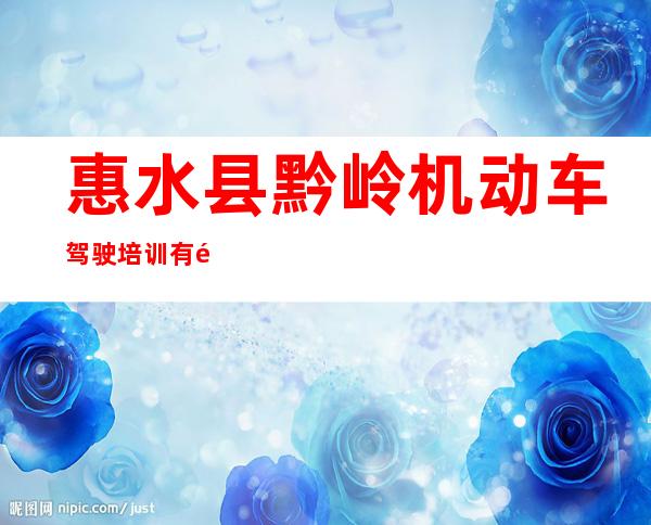 惠水县黔岭机动车驾驶培训有限公司