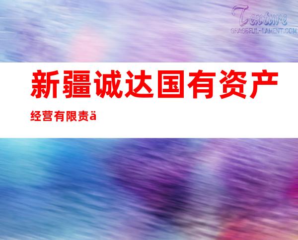 新疆诚达国有资产经营有限责任公司