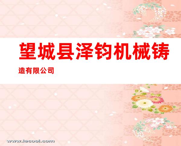 望城县泽钧机械铸造有限公司