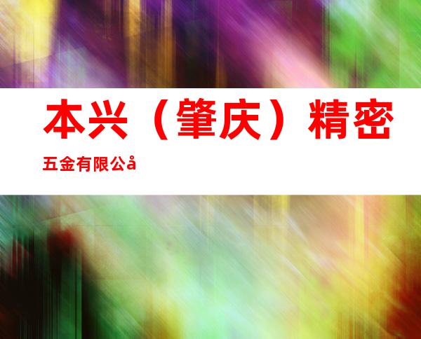 本兴（肇庆）精密五金有限公司