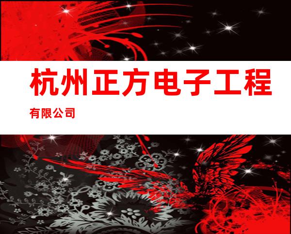 杭州正方电子工程有限公司