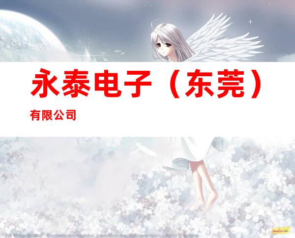 永泰电子(东莞)有限公司