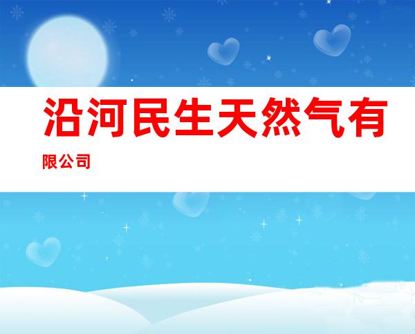 沿河民生天然气有限公司