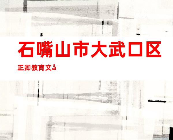 石嘴山市大武口区正卿教育文化有限公司