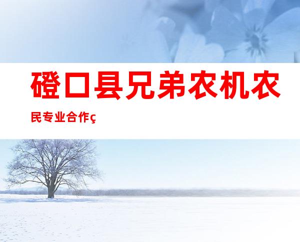 磴口县兄弟农机农民专业合作社