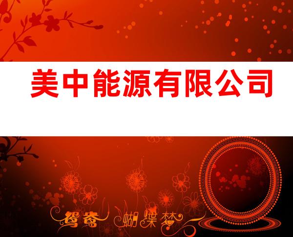 美中能源有限公司