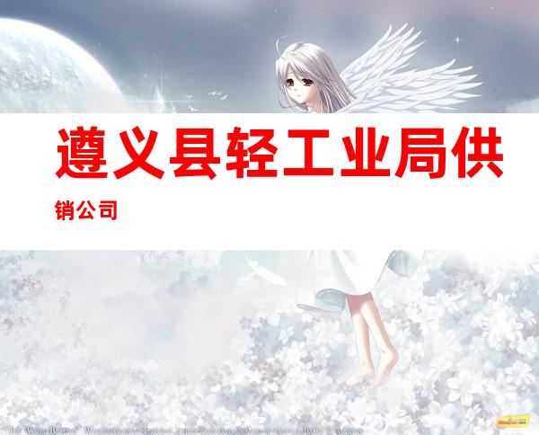 遵义县轻工业局供销公司