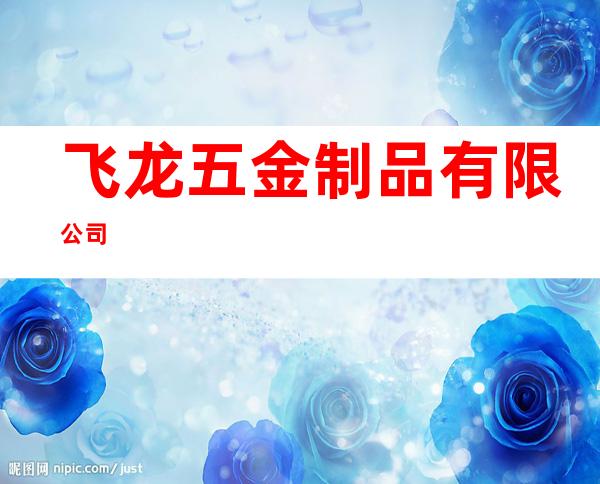 飞龙五金制品有限公司